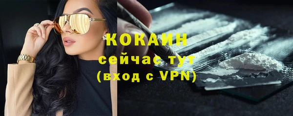 тгк Аркадак