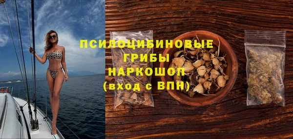 тгк Аркадак
