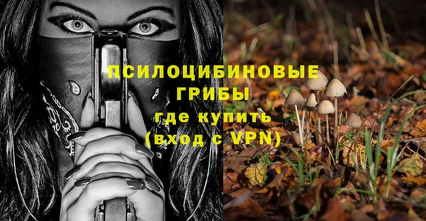 бошки Арсеньев